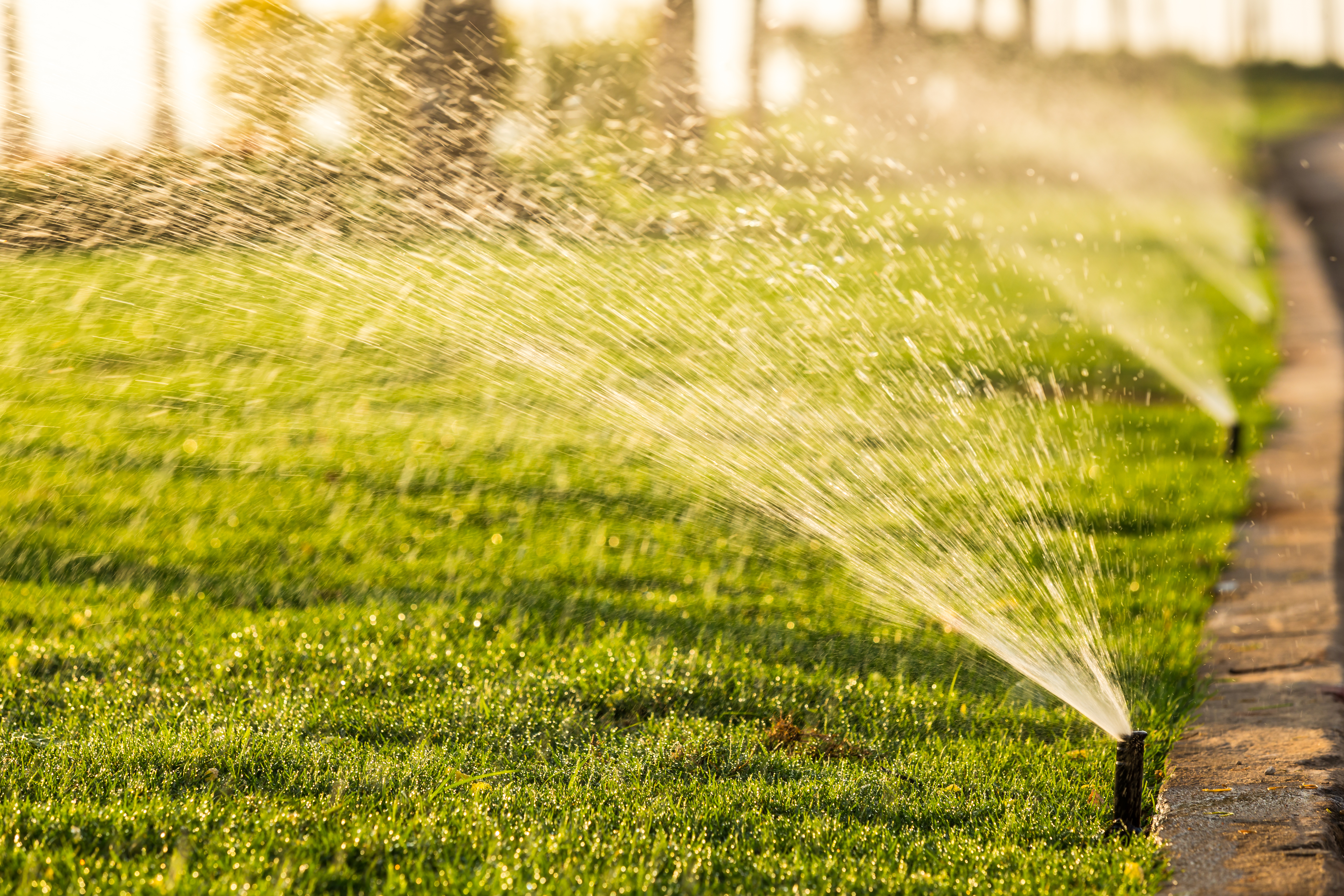 man pushing fertilizer truck on grass