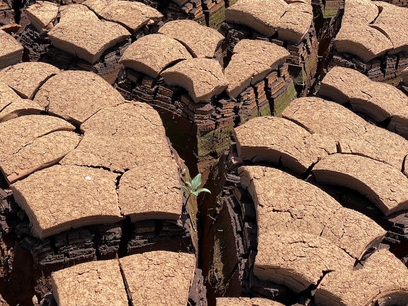 Dry, cracked, soil