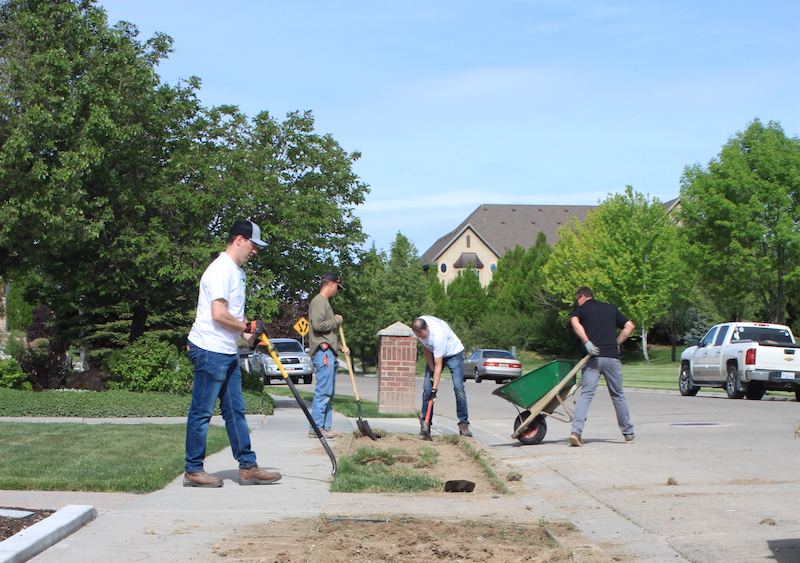 People removing grass from park strip.