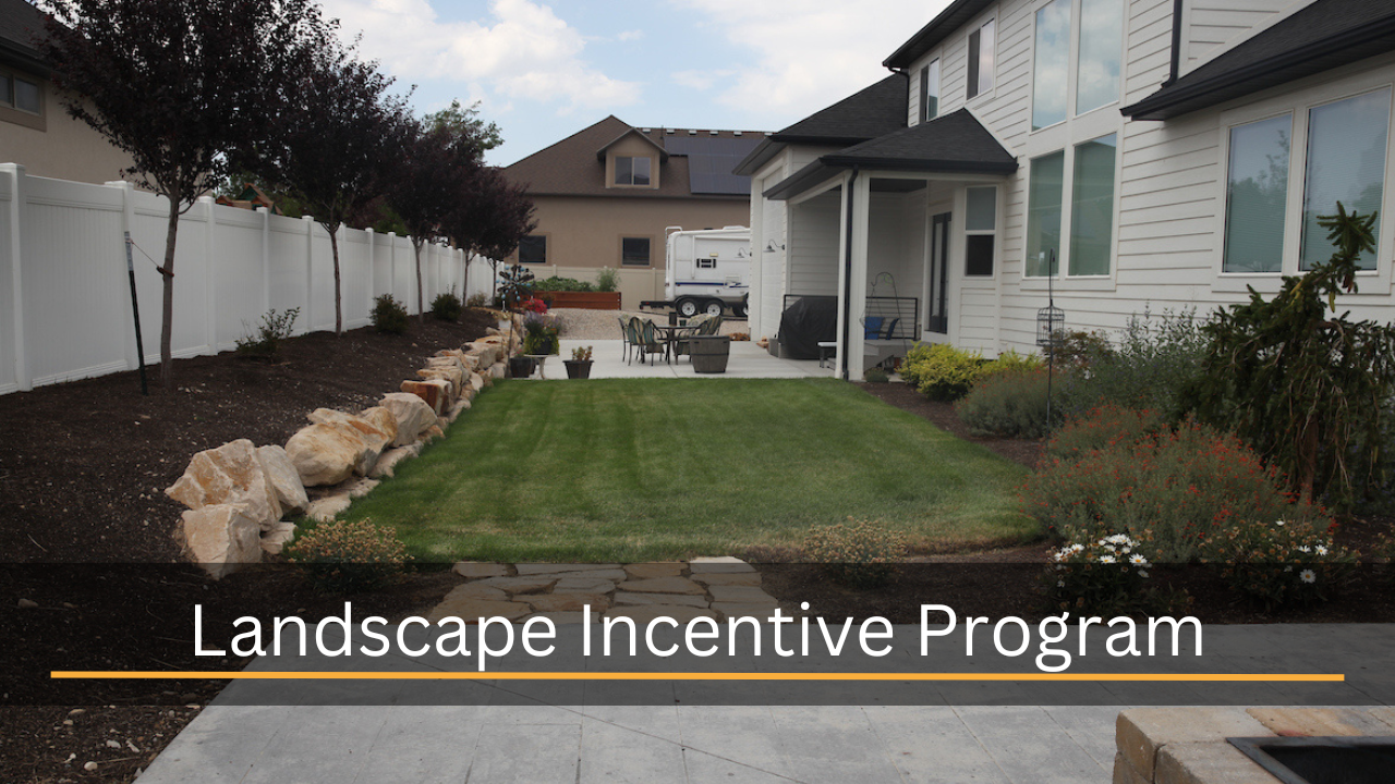 Image of a backyard with waterwise landscaping
